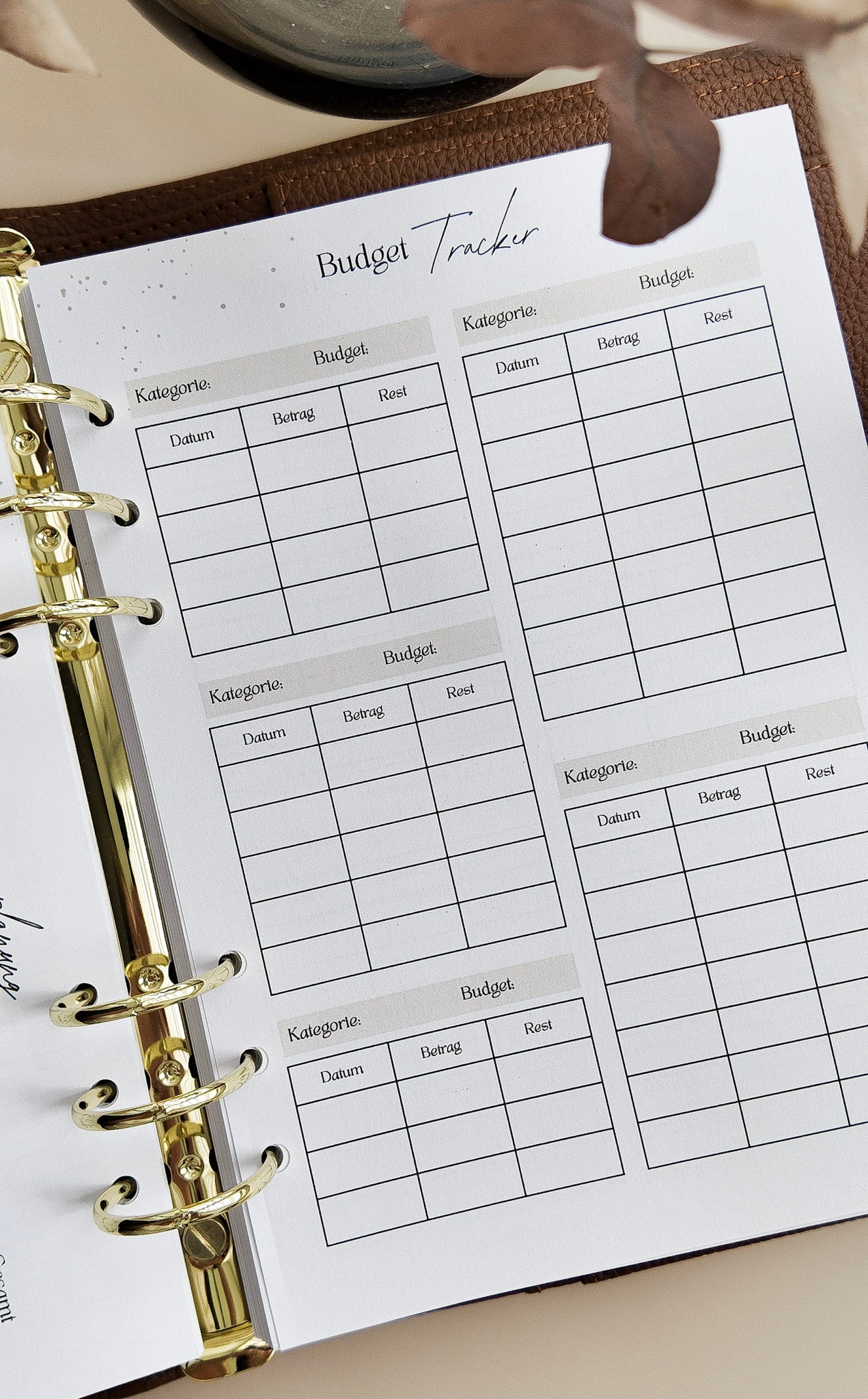 NEU Budgetplaner beige