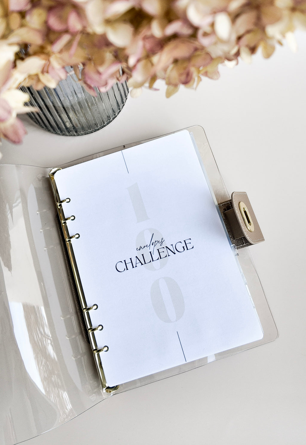 100 envelope Challenge