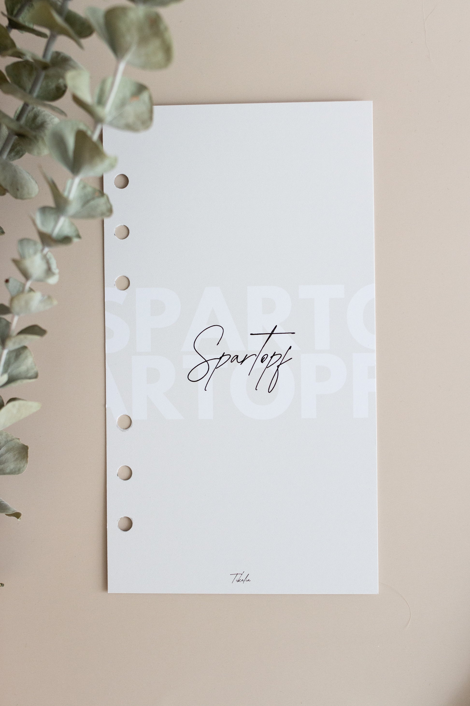 Deckblätter beige A6